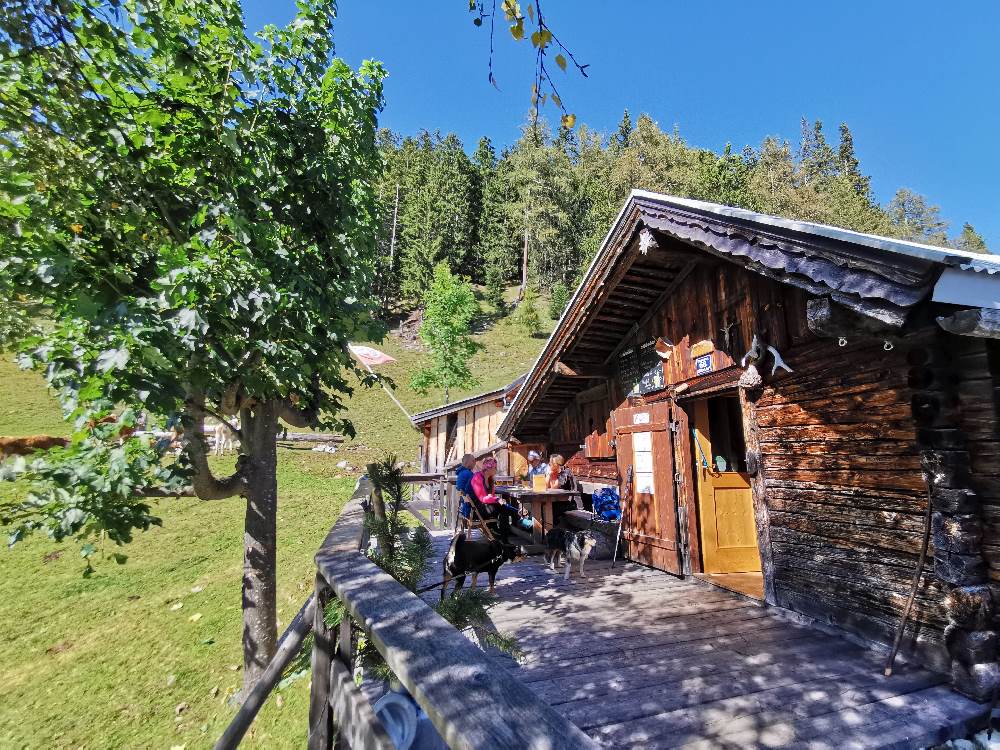 Geheimtipp für deine Schwaz Wanderung - zu dieser urigen Alm!