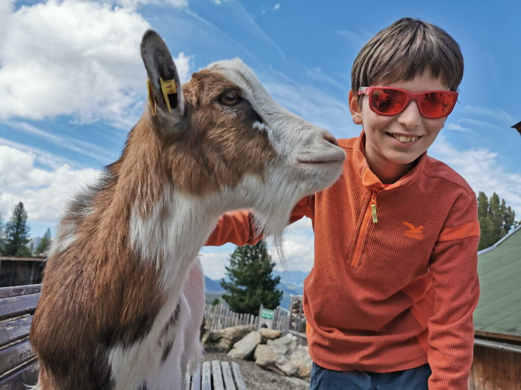 Fügen im Zillertal mit Kindern - Besuch bei den Tieren im Murmelland